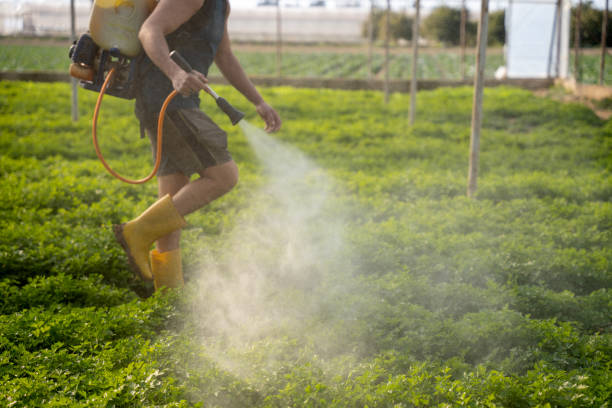 Best Pest Control for Restaurants  in Odon, IN
