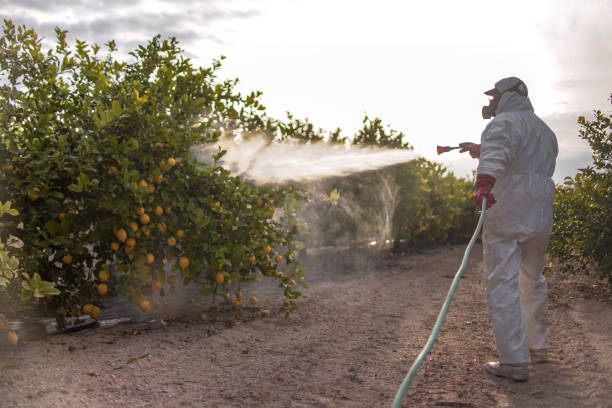 Best Insect Control  in Odon, IN