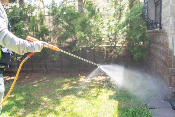 Best Pest Removal Services  in Odon, IN