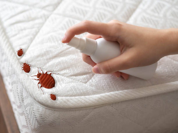 Best Ant Control Services  in Odon, IN